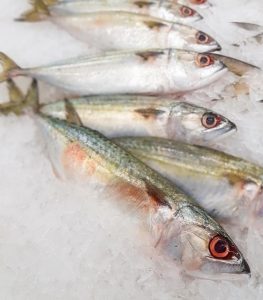 mackerel-6928146_640