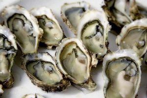 oyster-1522835_640