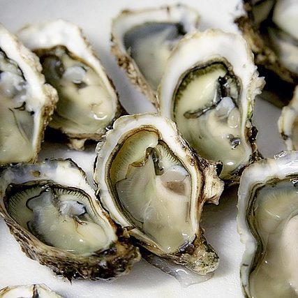 oyster-1522835_640 oyster-1522835_640